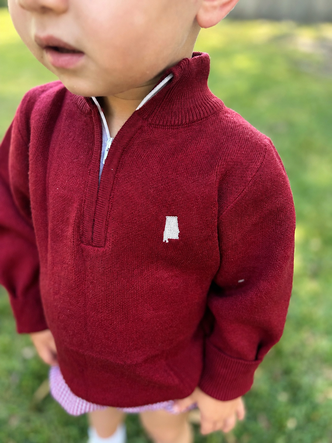 Boys Crimson State of Alabama Half Zip Sweater