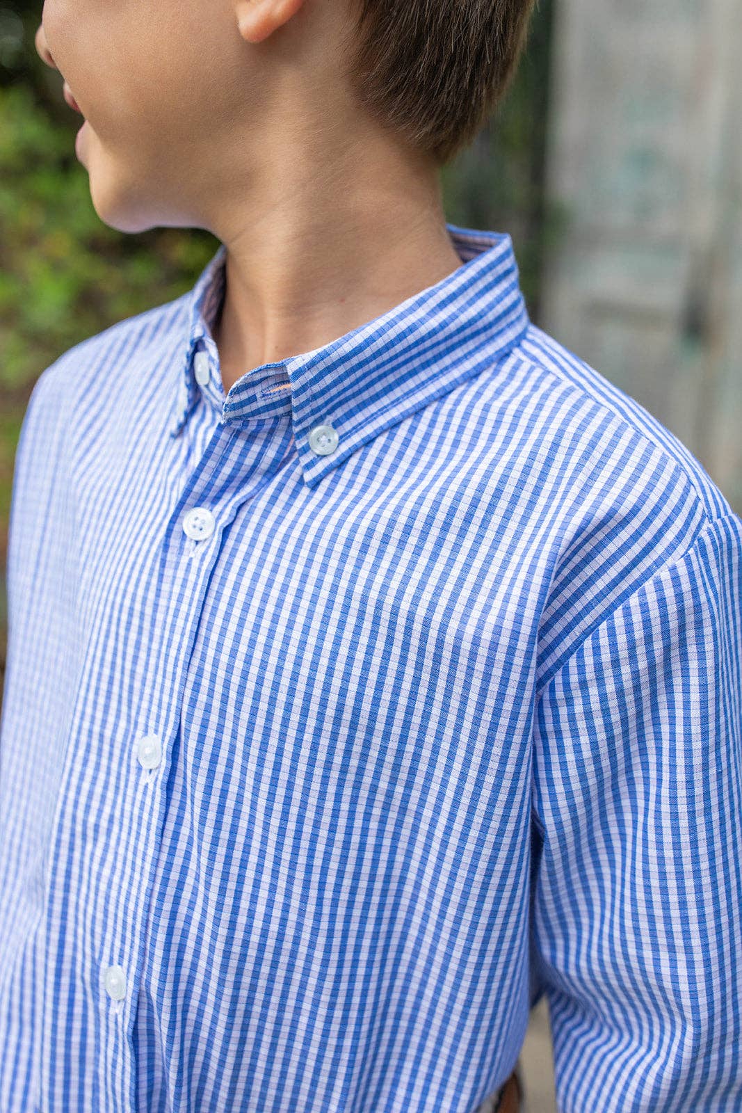 Johnson Button Down